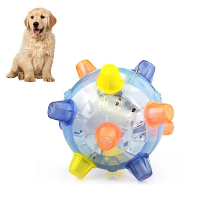 Pet LED Vibration Toy Ball